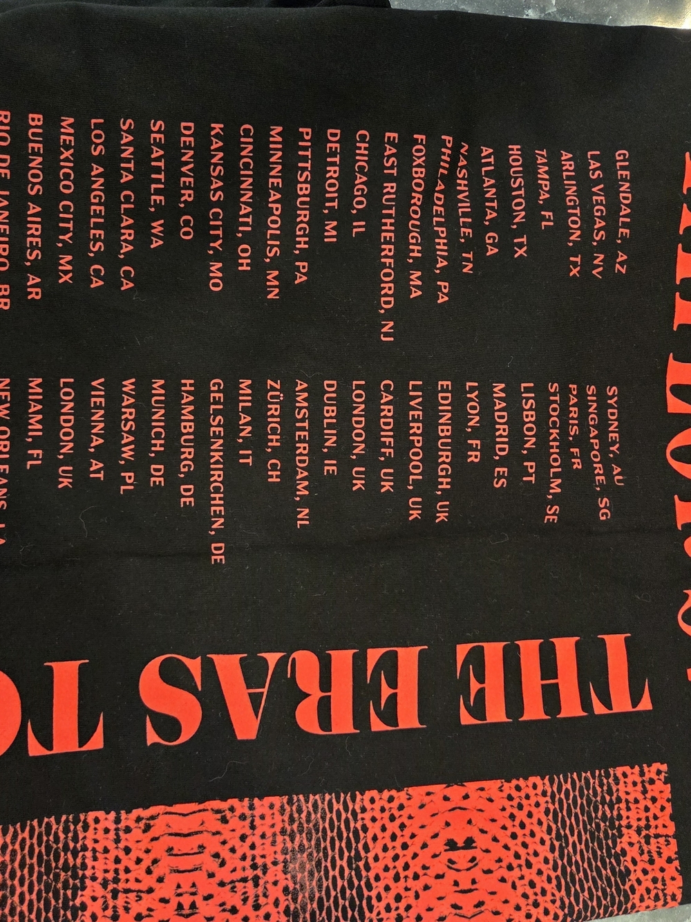 Taylor Swift Authentic Concert ERAS TOUR Reputation Shirt - Picture 5 of 5
